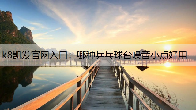 哪种乒乓球台噪音小点好用