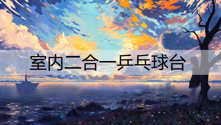 室内二合一乒乓球台